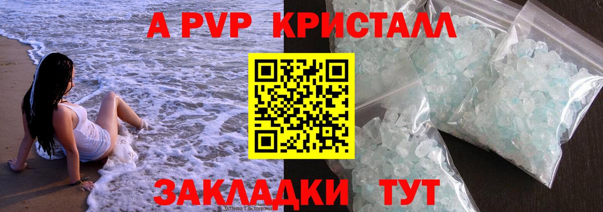 A-PVP СК Новозыбков