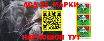 индика Краснознаменск
