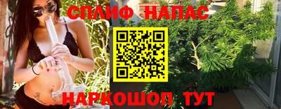индика Краснознаменск