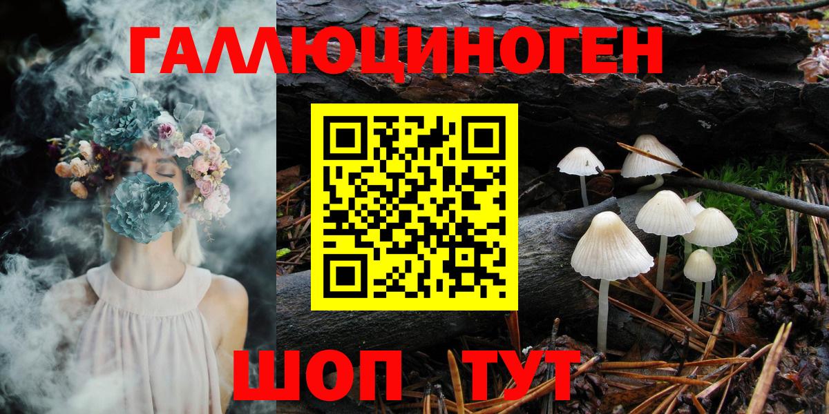 Псилоцибиновые грибы GOLDEN TEACHER  Псилоцибиновые грибы GOLDEN TEACHER  Новозыбков  Вход с VPN 