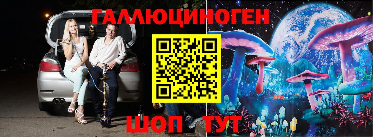 Псилоцибиновые грибы GOLDEN TEACHER Новозыбков