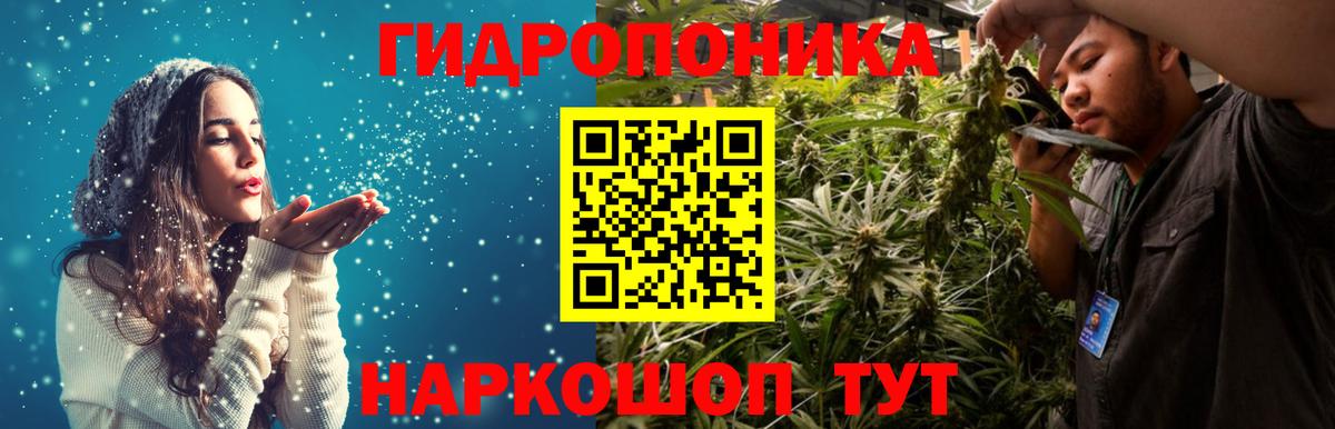 Бошки Шишки MAZAR  Вход с VPN  Шишки марихуана конопля  Новозыбков 